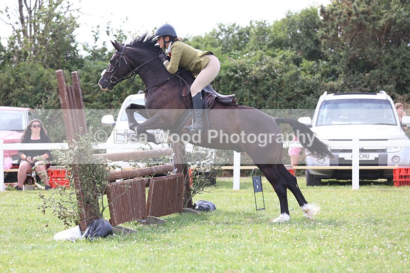 JPP_4034 - Class 24: Working Hunter 90cm