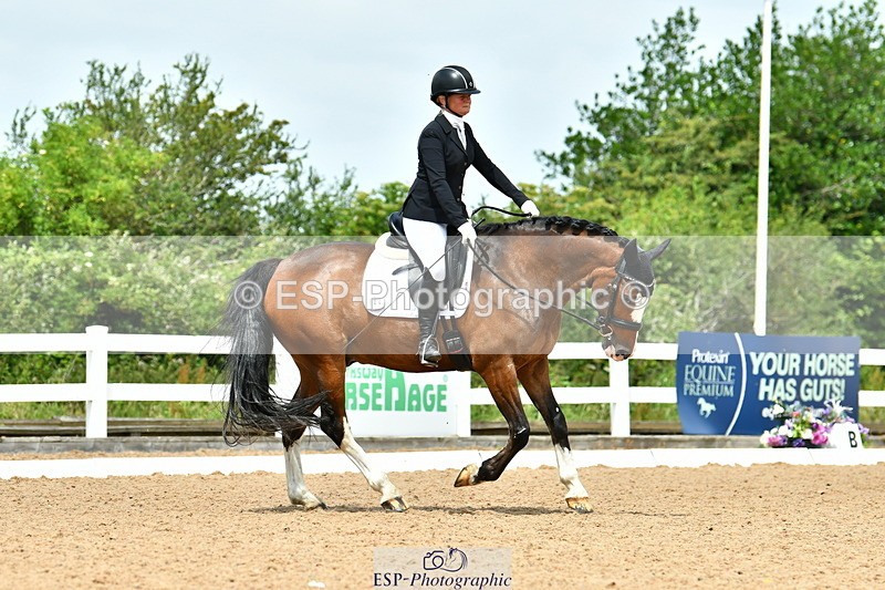 230702A-124850-09713 - Cls 28 Elementary 45