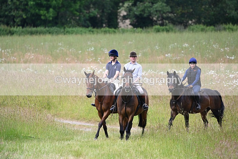WJ6_7847 - Camera 1 Gallops