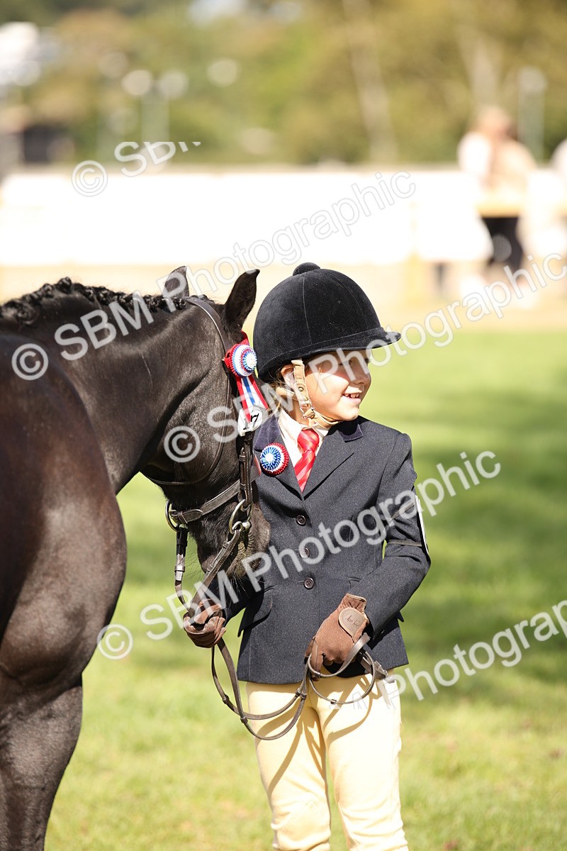 SBM_44456 - S24 - Young Veteran in hand