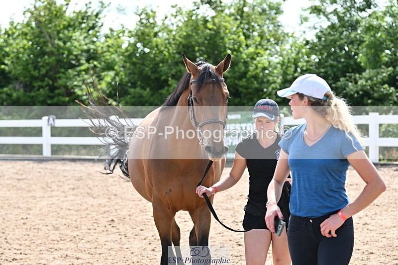240717A-155235-03128 - Trot Up 3pm to 4pm