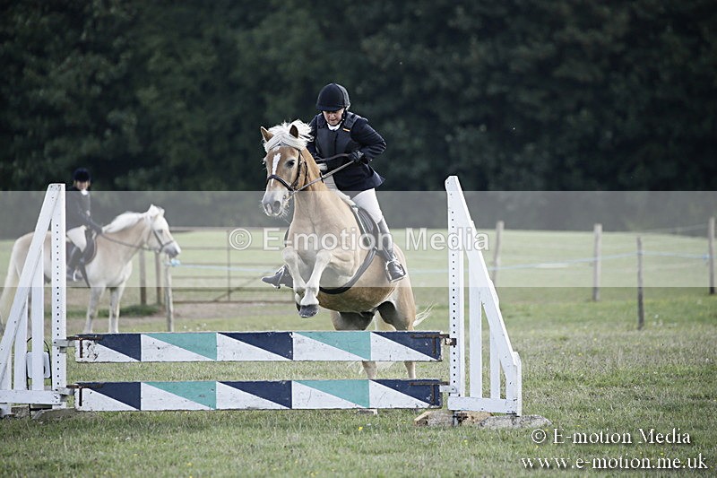 BVR090918 389 - BVRC Dressage and Show Jumping 09/09/18