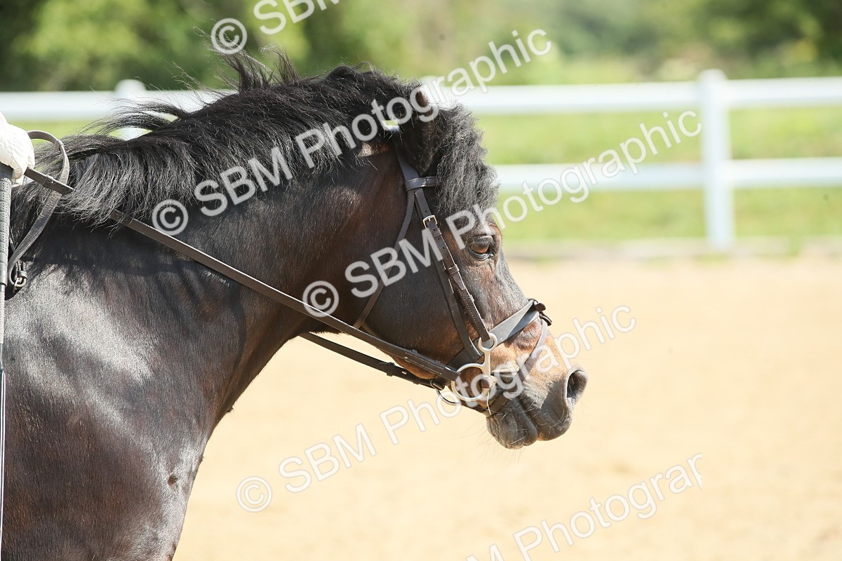 SBM_011155 - 60cm