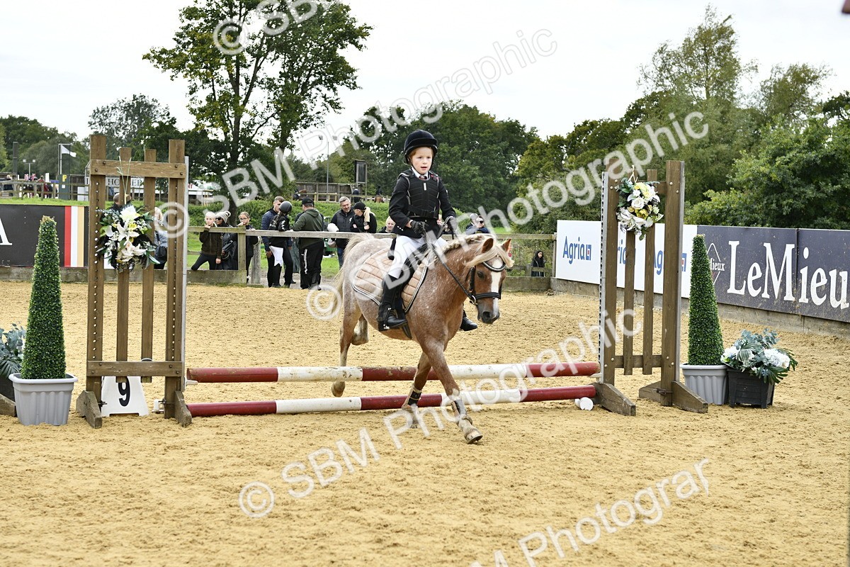 SBM_65522 - J2a mini Tour Junior Pony 30cm Championship