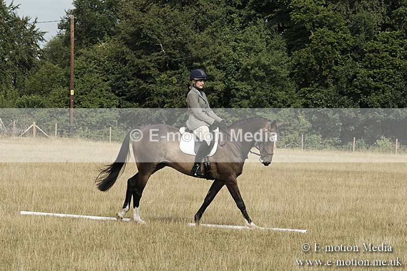_PJP5671 - Dressage Classes BVRC Show 2018