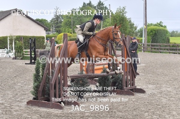 JAC_9896 - CLASS 3 Intermediate Working Hunter (0.70m - 0.85m)