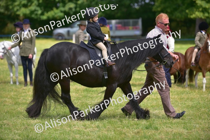 20260614-1211 - Class 11a - Lead Rein Pony (Unplaited)
