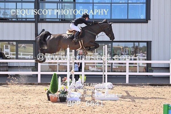 BPP_6641 - CLASS 13 FRI HOYS Talent Seeker Qualifier Inc 7 Year Old Horse Championship Qualifier