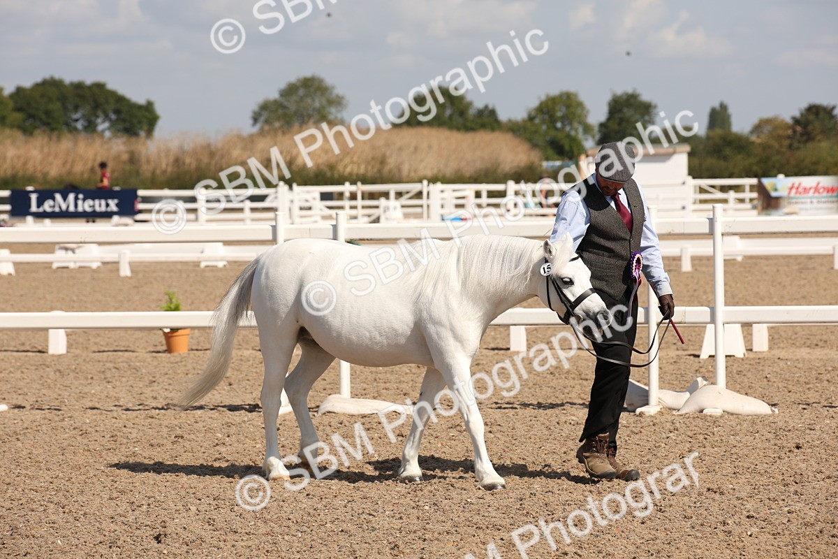 SBM_02834 - Class 16 IH M&M Wildcard