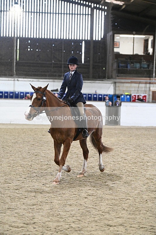 WJ7_4131 - Class 17 Ridden Cob