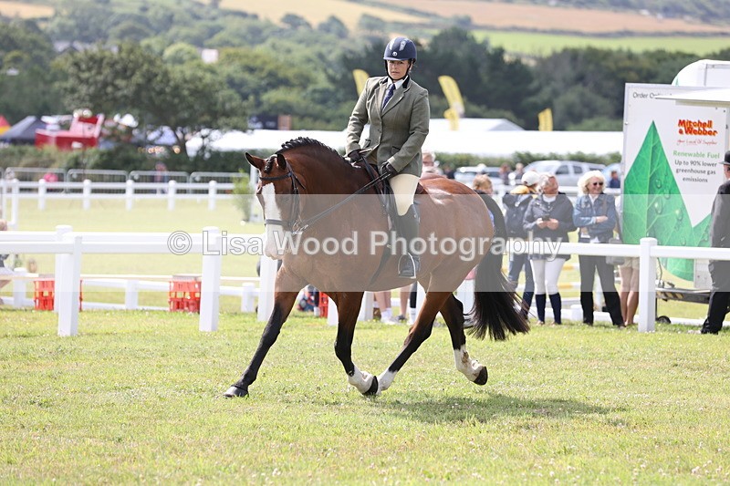 JPP_1281 - Class 17: Cornish Combination Open