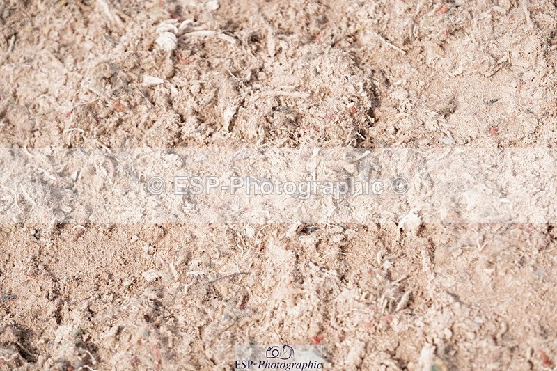 250511-152536-14706 - Cls 35 1.10m Amateur Quali and Open