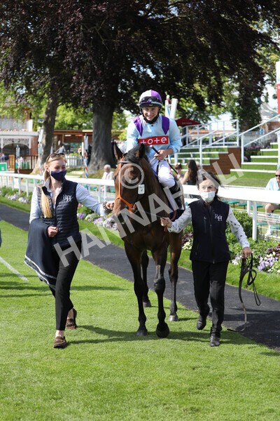 yr12062021r5-28 - Race 5 4.15pm Reg Griffin Appreciation EBFstallions.com Maiden Stakes