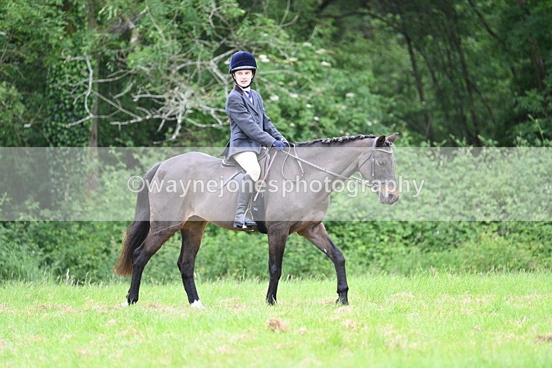 WJ7_4373 - Class 14B Prettiest Mare