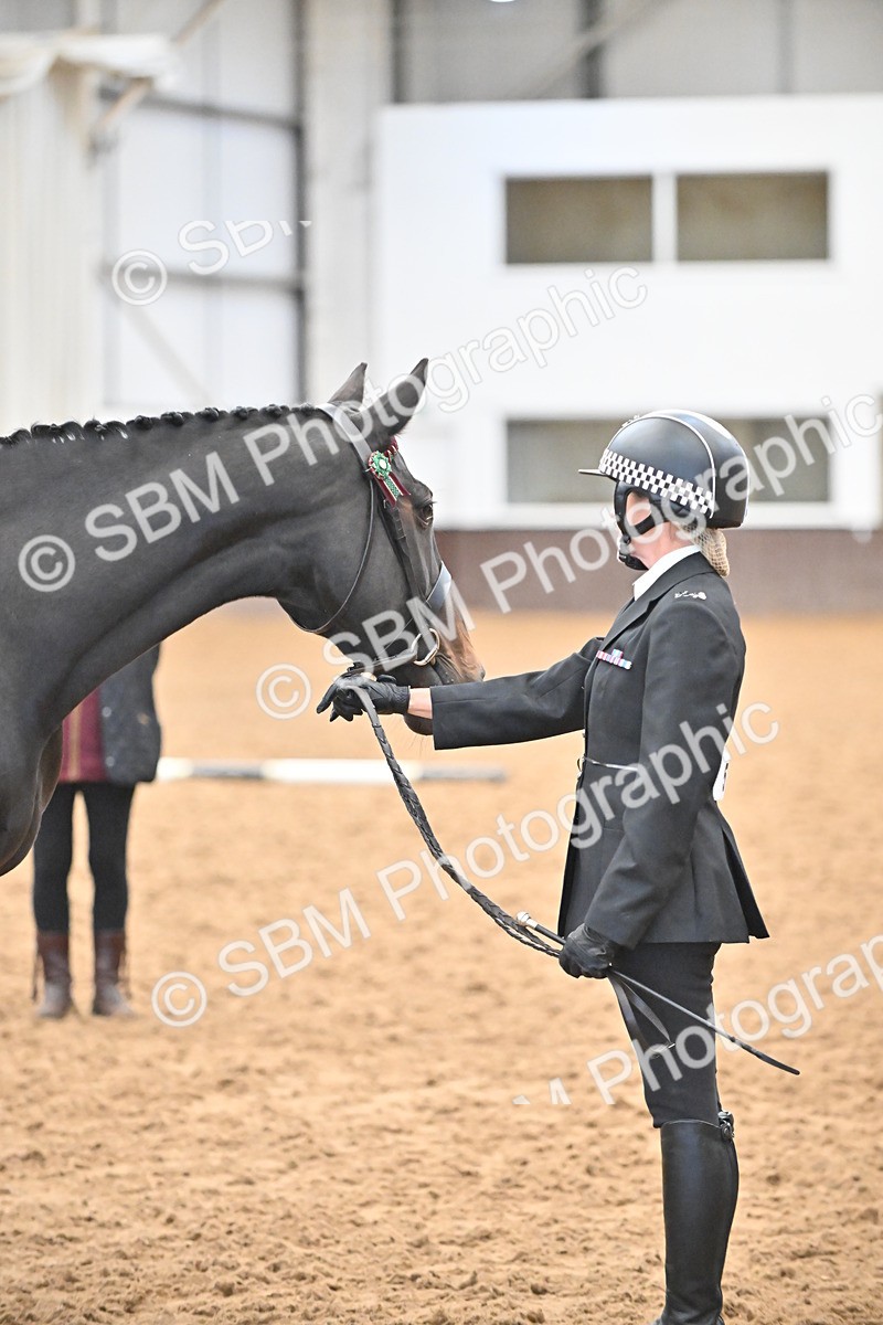 SBM_000088 - Class 4 - BSHA In Hand Show Cob