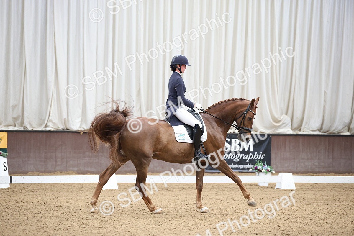 SBM_004364 - Class 9 - FEI Inter 1 Gold - 15.55-16.43