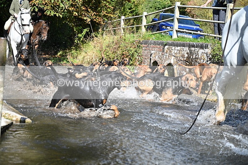 WJ7_5967 - Hounds Water Crossing