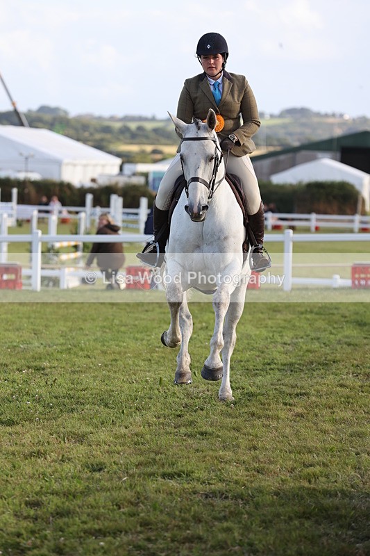 JPP_3592 - Class 22: Working Hunter 90cm