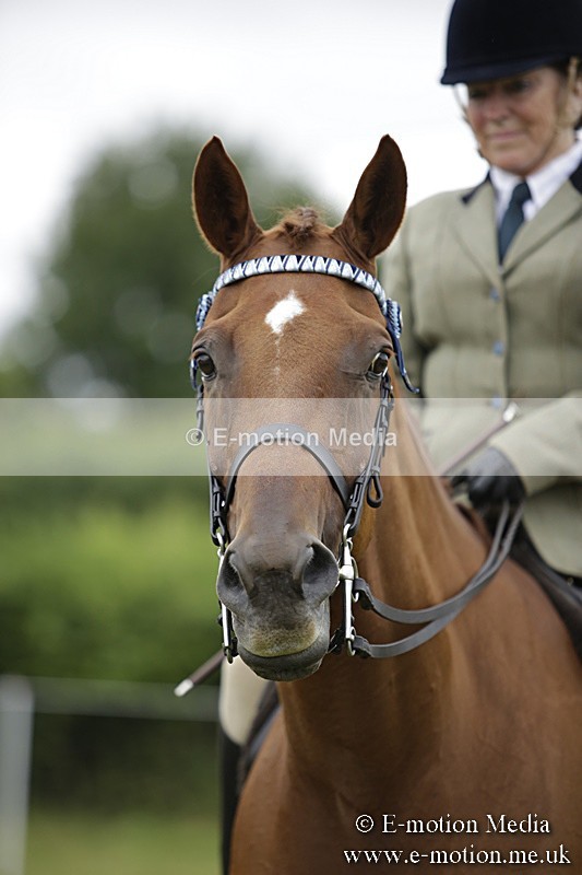 BVR160717-479 - Ring 1 BVRC Show 16/07/17