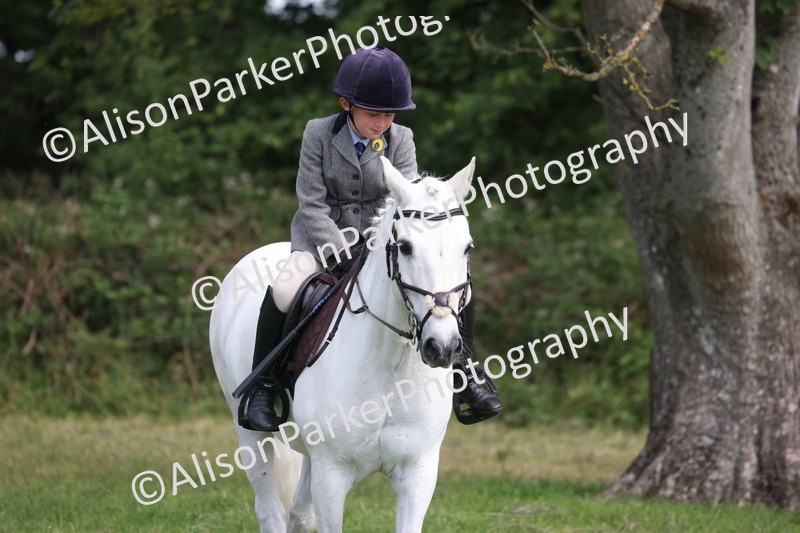 20260614-0566 - Class 20 - Beginners Working Hunter Pony