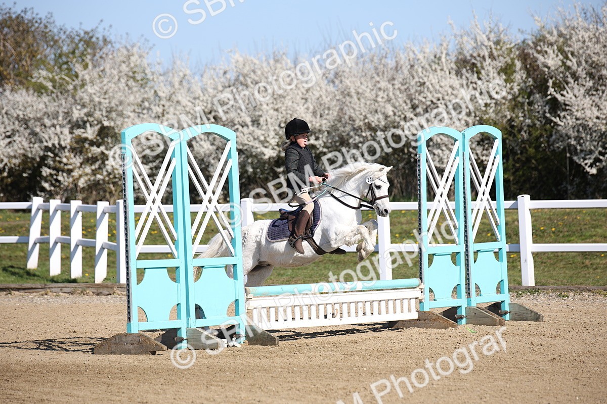 SBM_000698 - Class 2 - 50cm