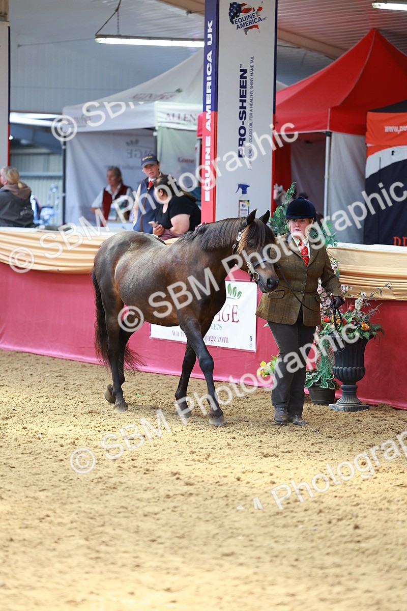 SBM_04075 - Class 9R - IH Pre-Vet