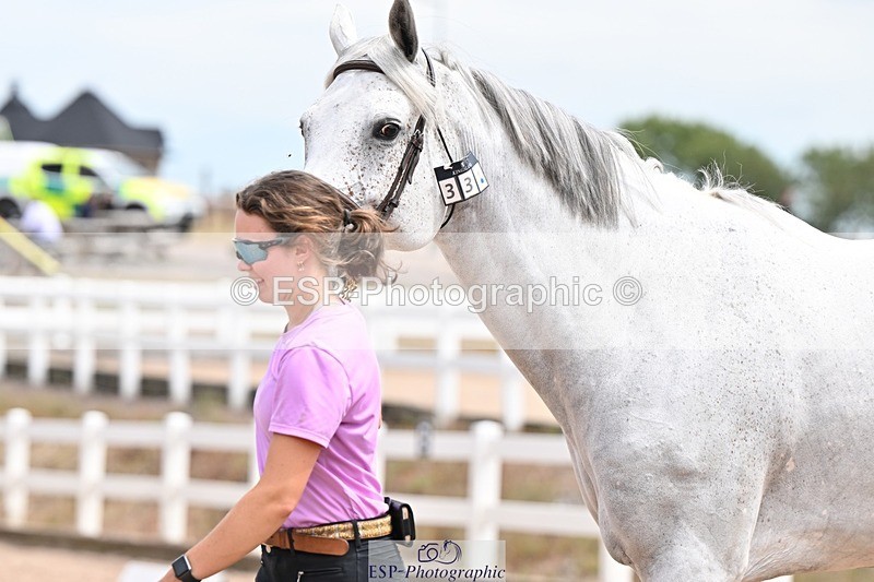 250716-142510-01080 - Trot Up 1.30 to 2.30