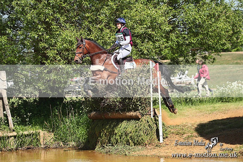 BE 140525  1681a - Equestrian