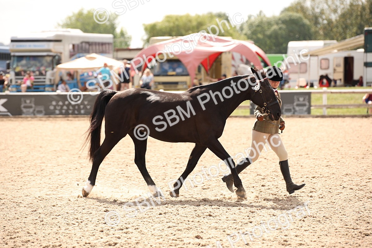 SBM_04622 - Class 20 IH Veteran