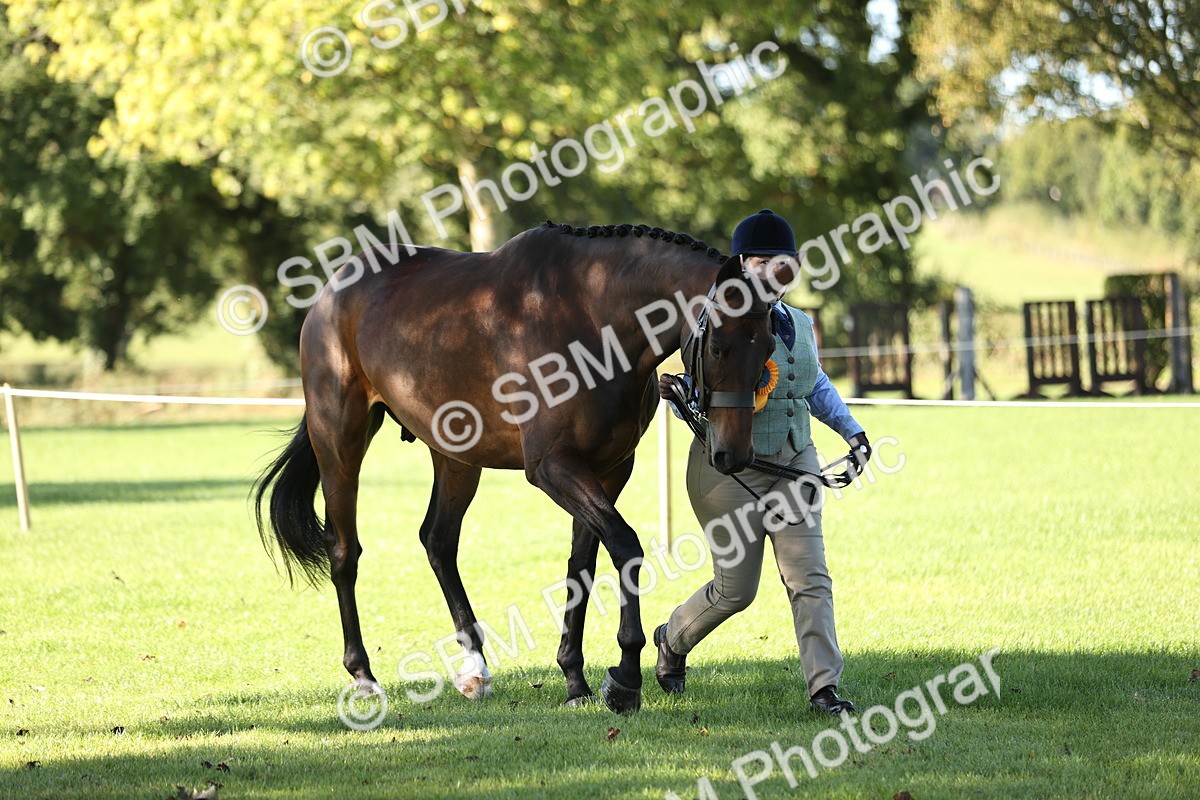 SBM_15798 - S1 - TSR in Hand Horse & Pony Showing