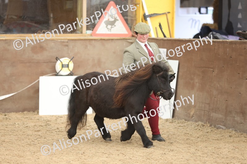 20251109-0306 - Class 13 - Mares 4 Years and Over