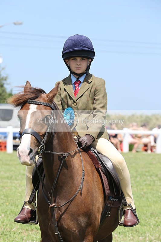 JPP_2388 - Class 20: Tiny Tots Working Hunter Pony