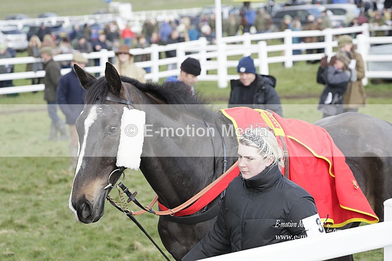 PtP 260323 0864 - New Forest Hounds Point-to-Point Larkhill 26/03/23
