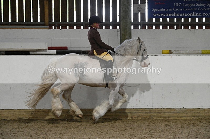 WJ7_4246 - Class 17 Ridden Cob