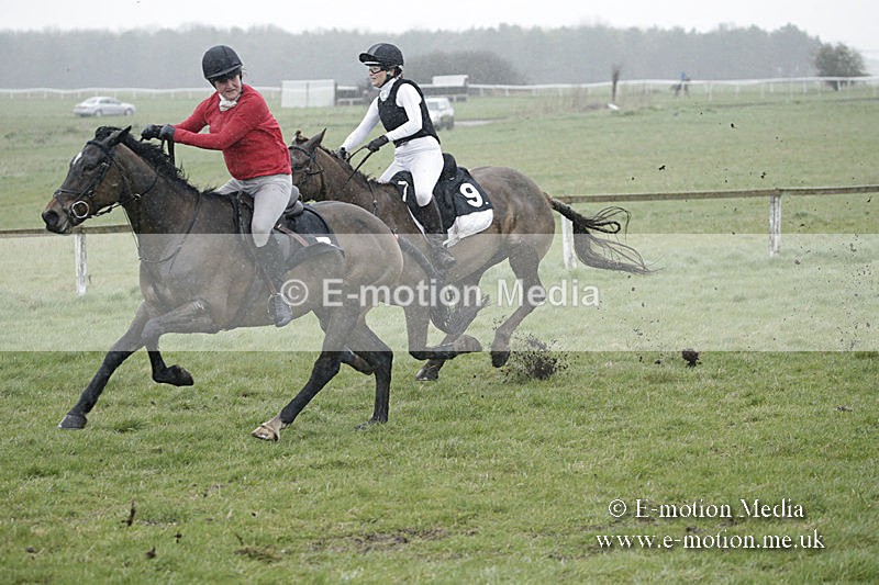 PtP 150320 0030 - New Forest Point-to-Point Larkhill 15/03/20