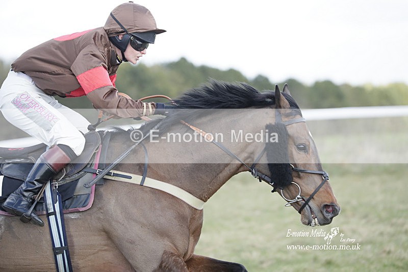 PtP 260223 667 - South & West Wilts Point-to-Point Larkhill 26/02/23