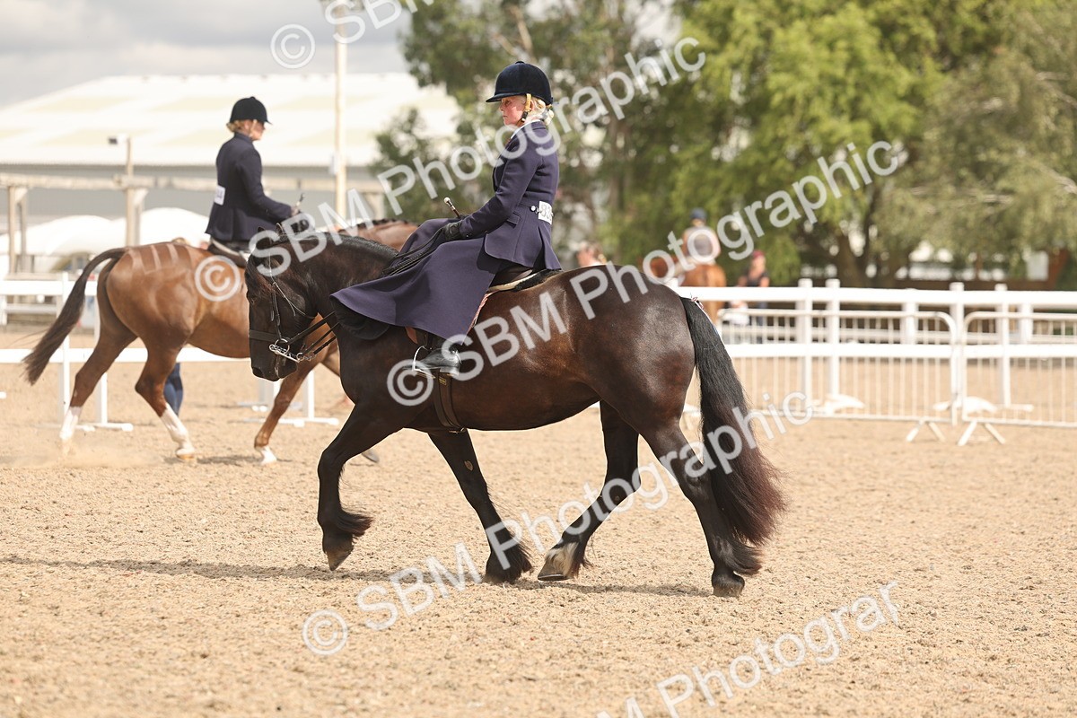 SBM_06351 - Class 22 - SSA - Equitation