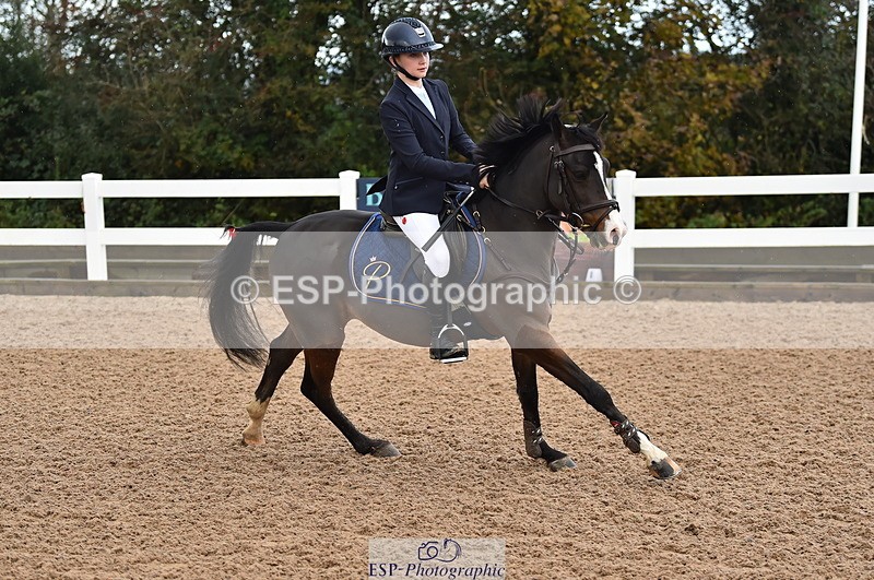 231029A-110550-02549 - Pony British Novice & 80cm Open