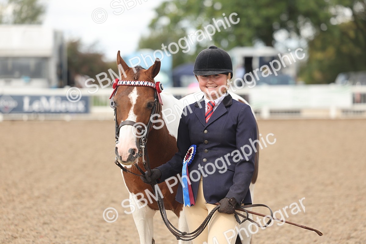 SBM_04385 - Class 17 - Prettiest Mare (IH or Ridden)