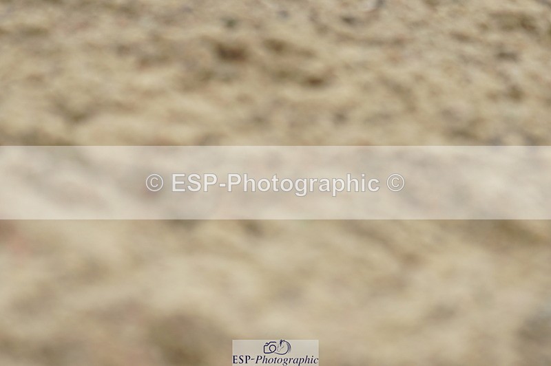 230708A-094708-00217 - Intro C