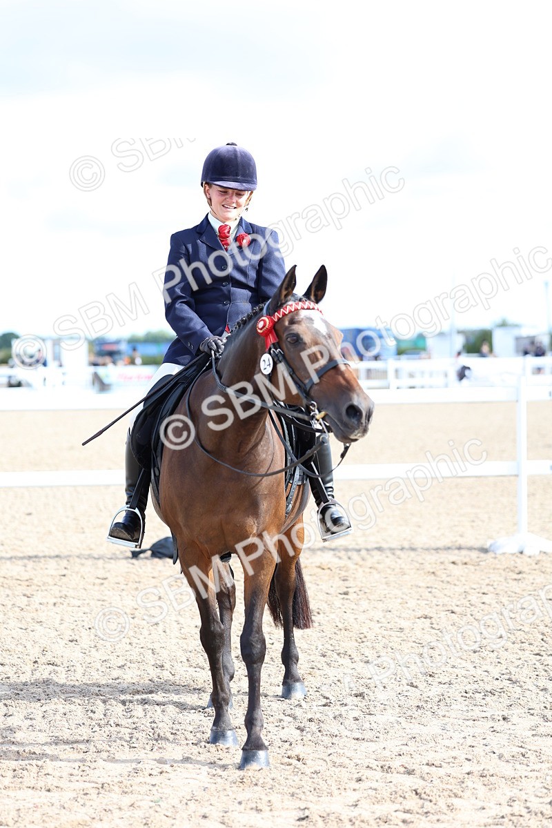 SBM_09150 - Class 303 - Ridden Pure Bred Horse Pony