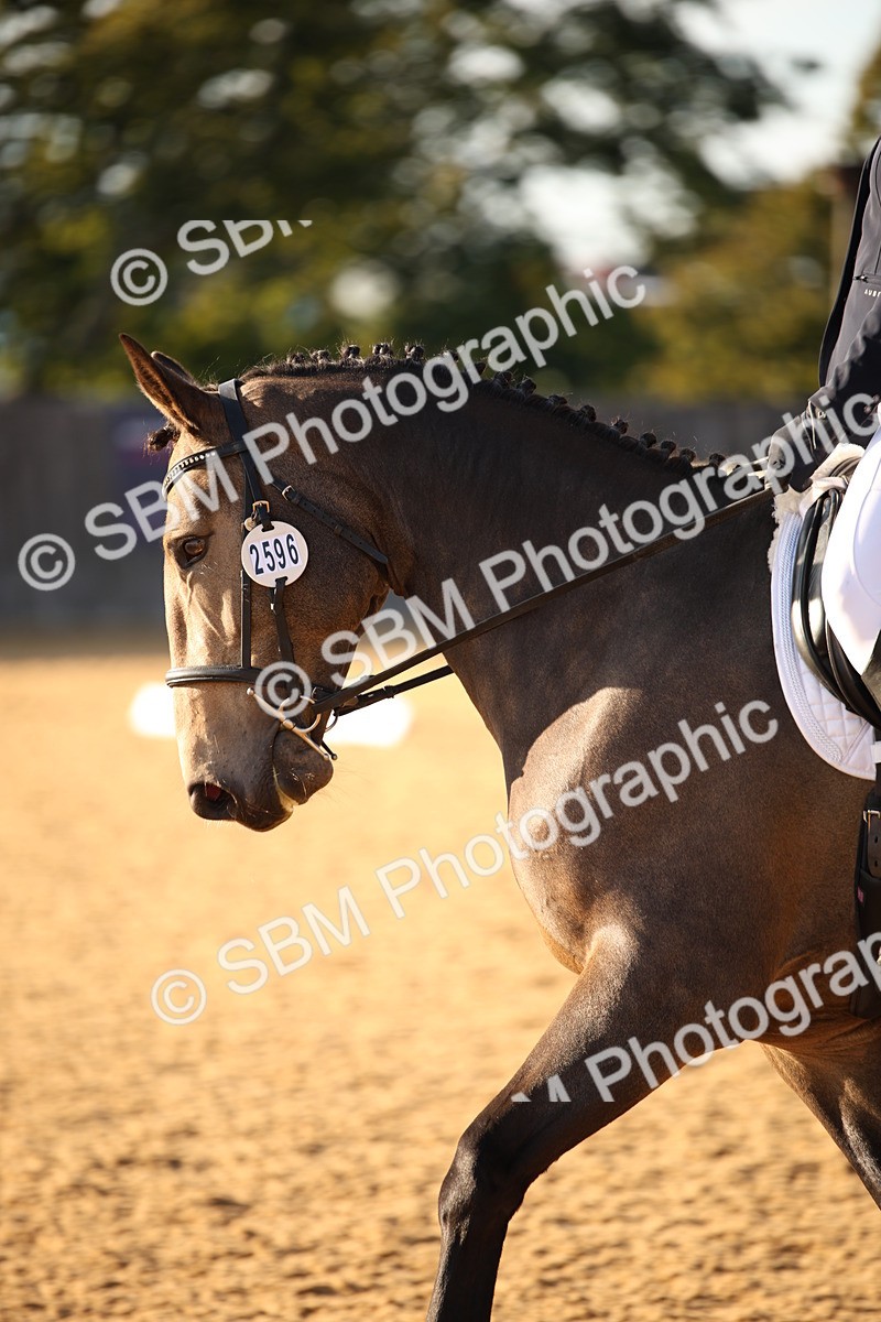 SBM_31428 - D11 - Small Tour Championship - Prelim 13