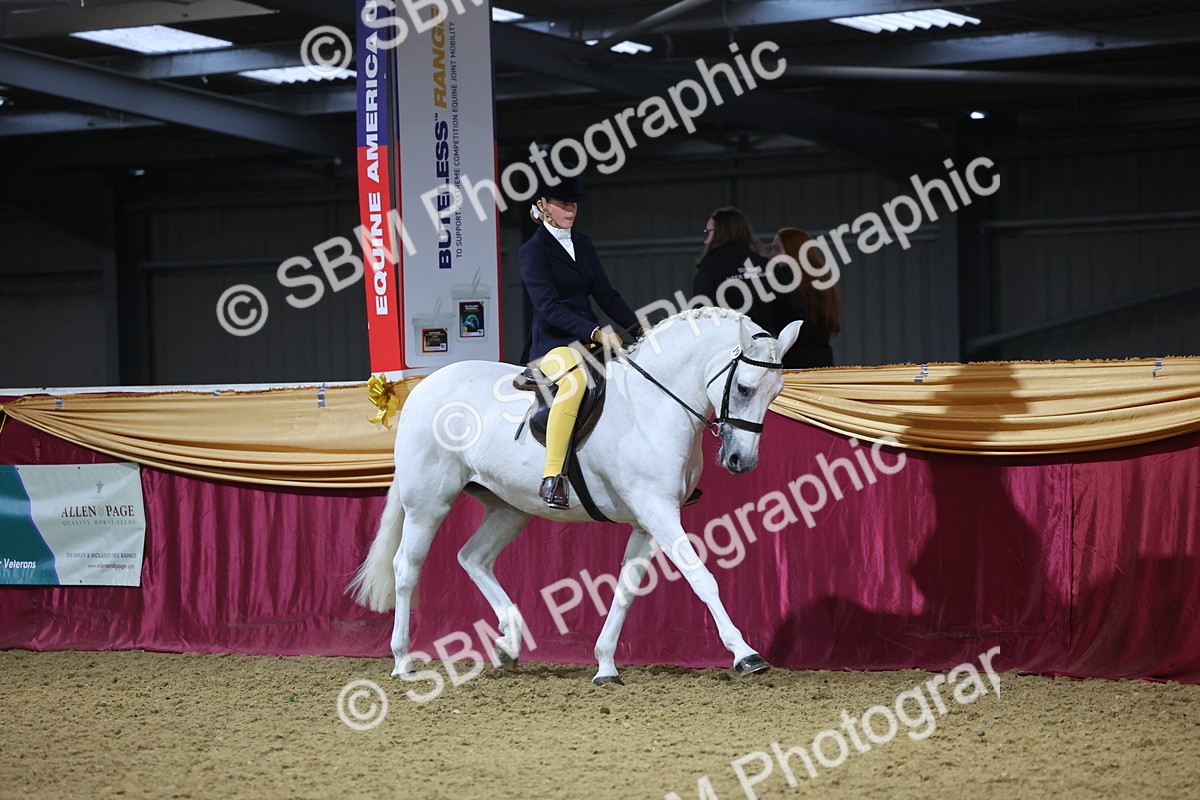 SBM_19283 - Class K Equitation Champ
