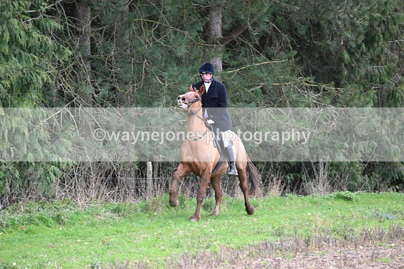 WJ6_9481 - Line Four