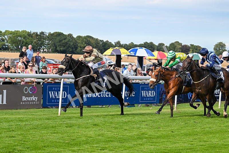 290725-Race 6-Jojo Rabbit-1012 - Race 6