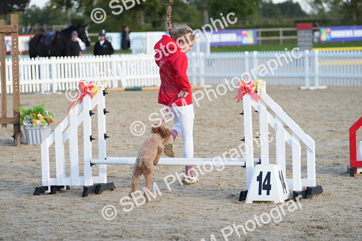 SBM_29492 - J44 - Horse & Hound Open 70cm