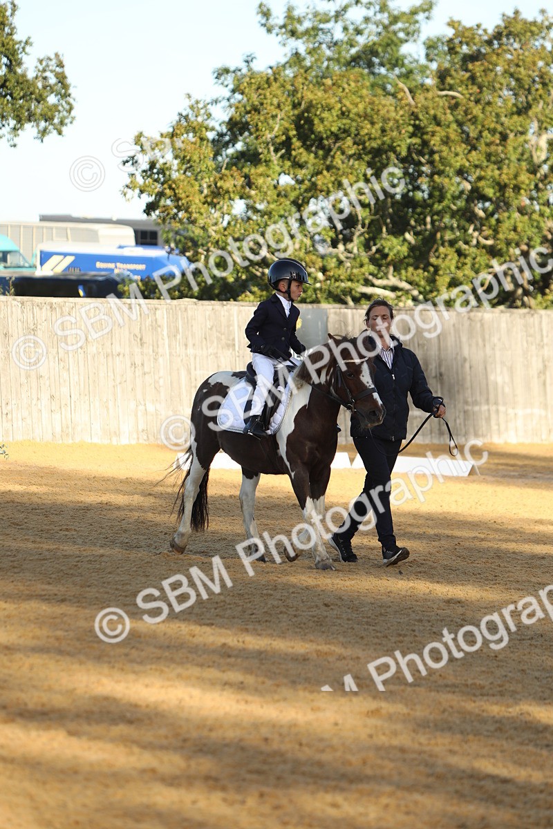 SBM_33703 - D26 - Starers - Lead Rein