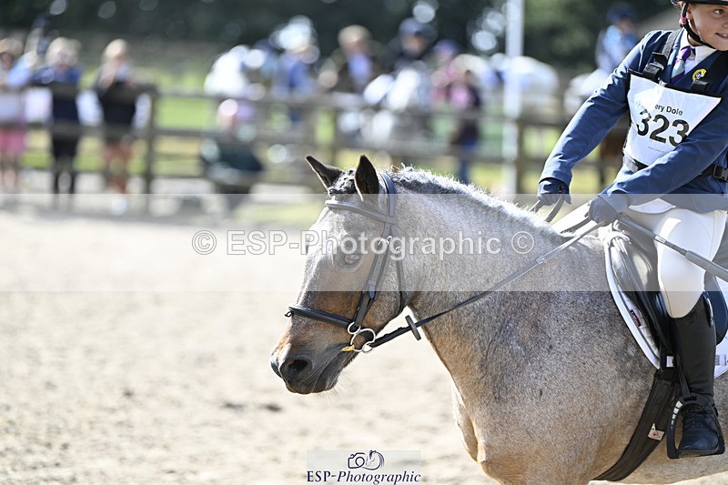 240823X-103056-15239 - 60cm R2 9.30 to 11.00