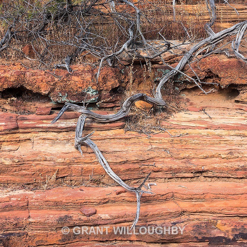  - Australia