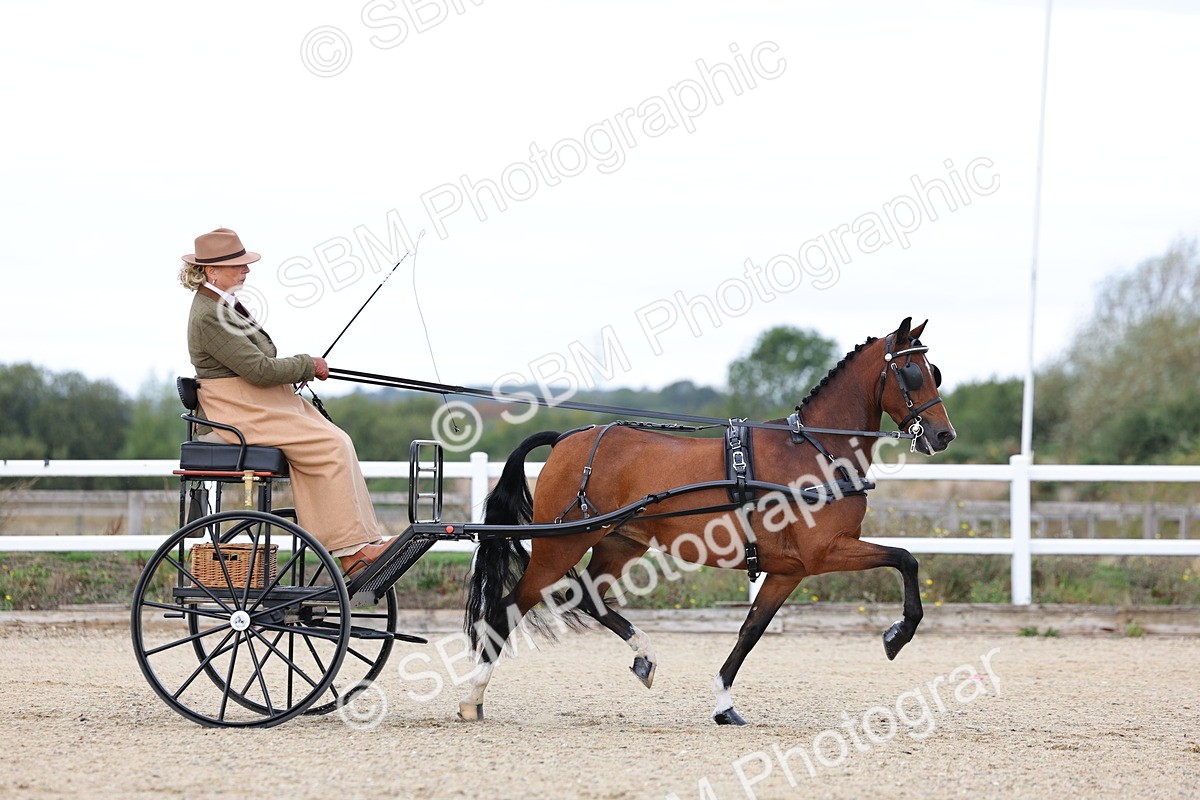 SBM_000268 - Class 2 - Exercise Vehicle 13.2hh & Under